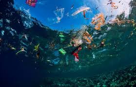 plastic in ocean 2
