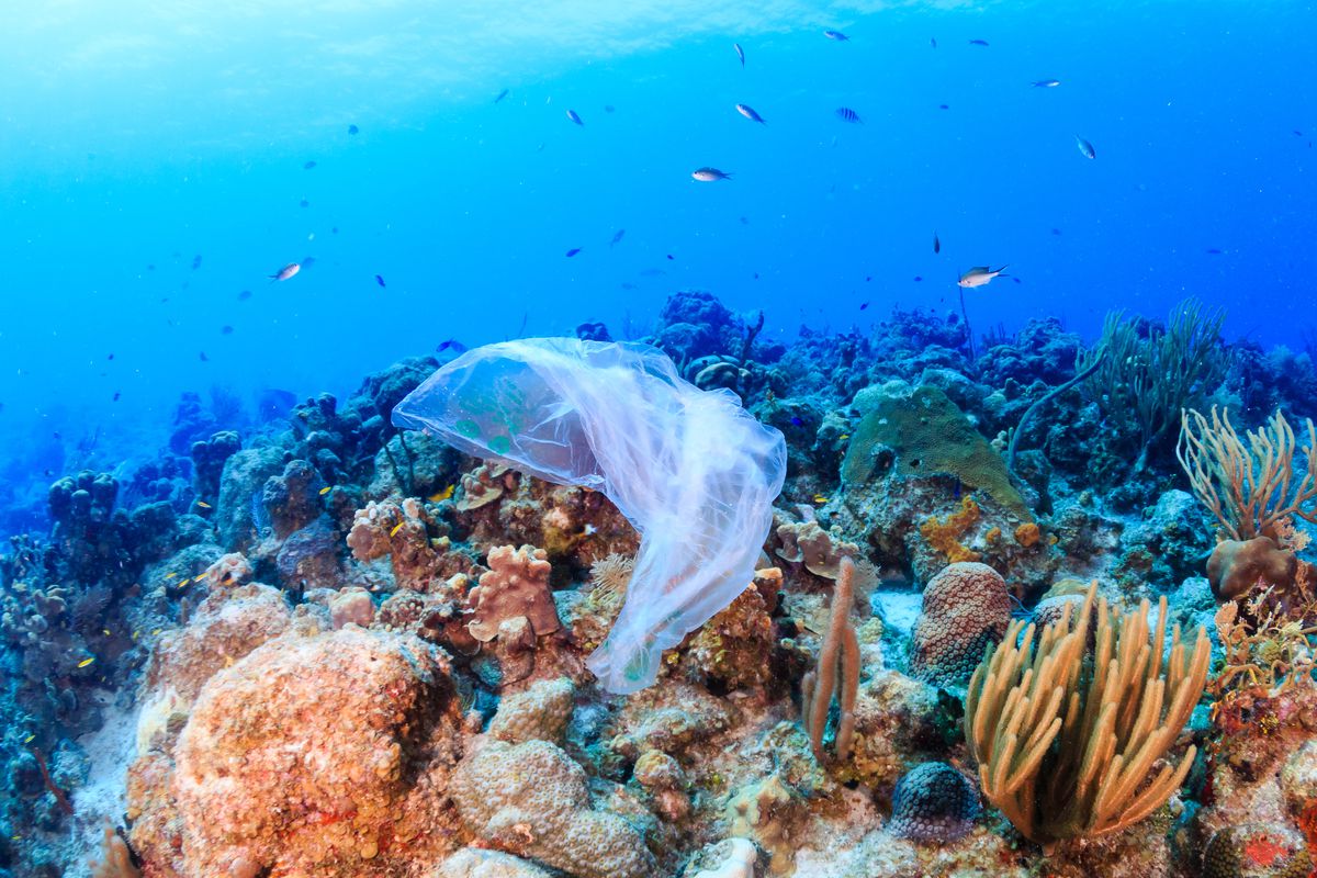 plastic in ocean 3
