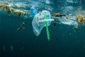 plastic in ocean 4